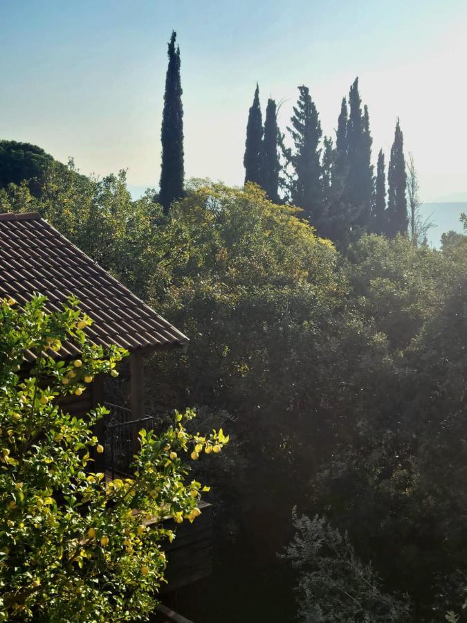 Roof Of The Galilee Villa Amirim Exterior photo